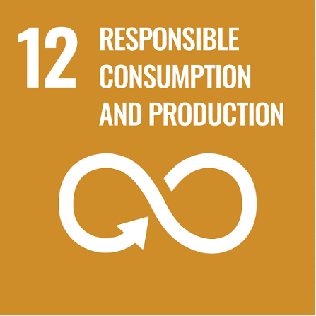 SDG 12