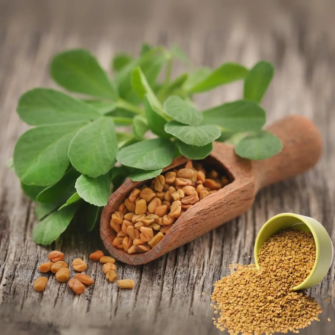 Fenugreek for overall health