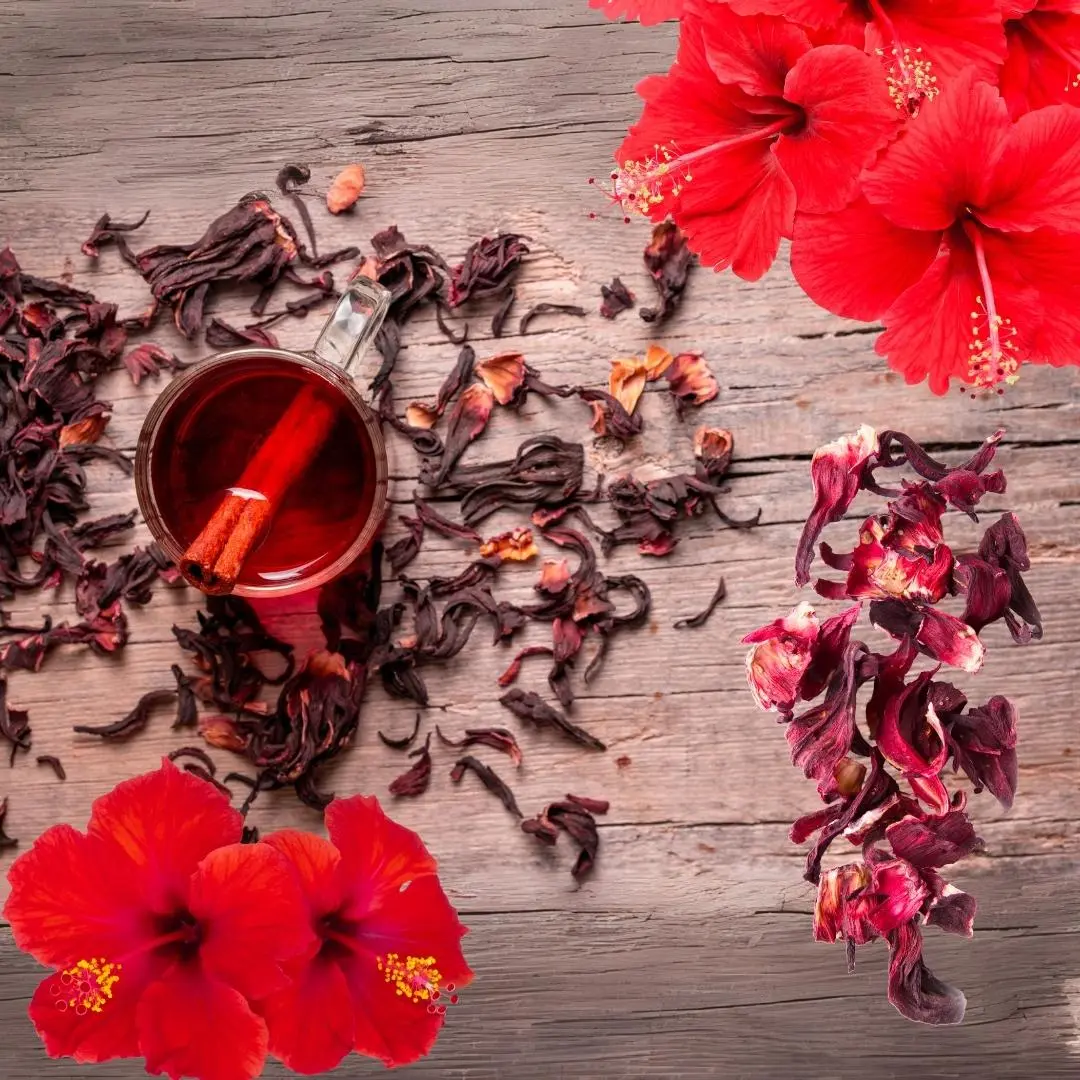 hibiscus for hair and skin