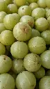 unsplash_JwBhrvKg2k8_amla.webp