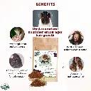 Shikakai powder benefits.webp