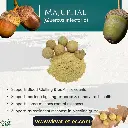 Quercus infectoria common name.webp