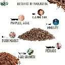 What is the use of Manjistha powder.webp