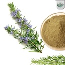 What is rosemary powder used for.jpg