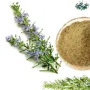 What is rosemary powder used for.webp