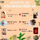 Ashwagandha the World's Healer.webp