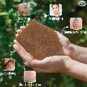 Golden Grain Cleanse Soap_VK Varieties_ Herbal Cleanse Soap.webp
