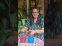 How to Clean Home Without Chemical