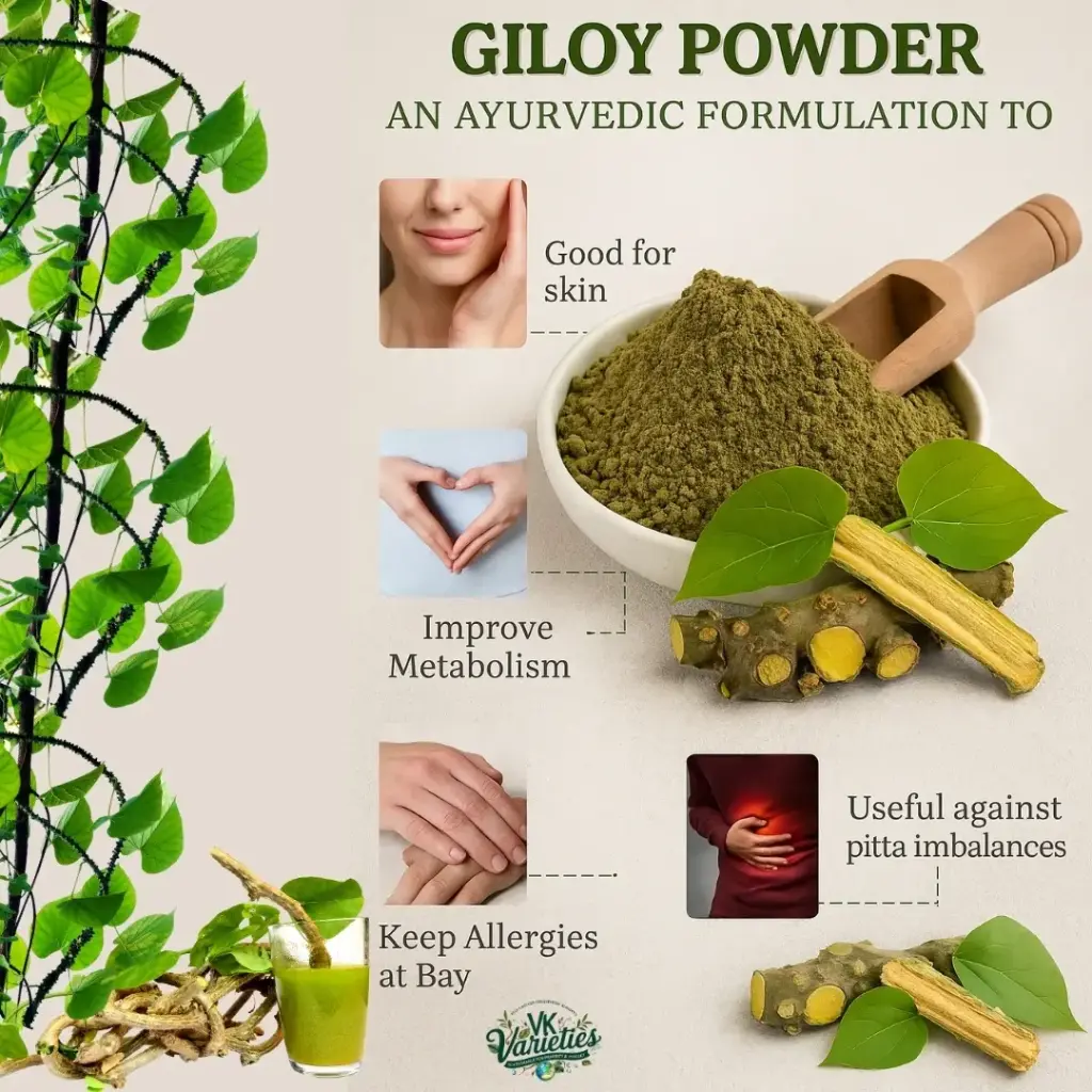 Organic Giloy Powder (Guduchi/Giloy Churna) | Natural Immunity Booster | Ayurvedic Detox Supplement | 100% Pure (60g)