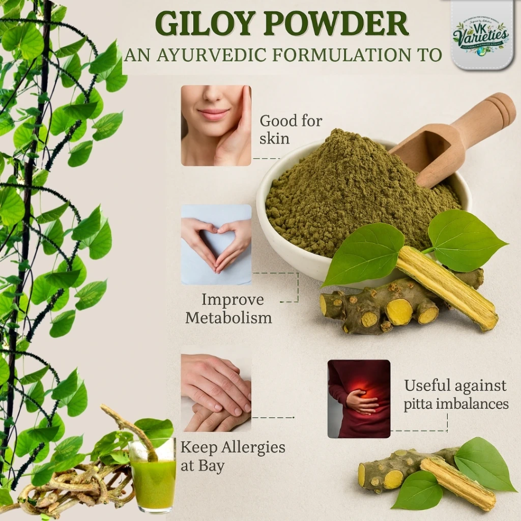 Organic Giloy Powder (Guduchi/Giloy Churna) | Natural Immunity Booster | Ayurvedic Detox Supplement | 100% Pure (60g)