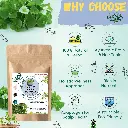 Organic Brahmi Powder – 100% Pure & Natural | Ayurvedic Brain Tonic for Memory, Focus & Stress Relief | Herbal Supplement for Hair & Skin | No Additives