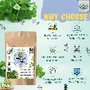 Organic Brahmi Powder – 100% Pure & Natural | Ayurvedic Brain Tonic for Memory, Focus & Stress Relief | Herbal Supplement for Hair & Skin | No Additives