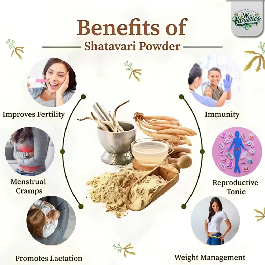 Pure Shatavari Powder | 100% Natural Women's Wellness Herb | Hormonal Balance & Skin Hydration