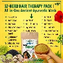  32-Herb Hair Therapy Pack | All-in-One Ancient Ayurvedic Mask for Hair Growth, Dandruff, Frizz Control & Premature Greying