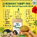 22-Herb Hair Therapy Pack | All-in-One Ancient Ayurvedic Mask for Hair Growth, Dandruff, Frizz Control & Premature Greying