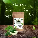 Affordable Ayurvedic Wellness Powder Combo | Ashwagandha, Moringa, Triphala & Giloy
