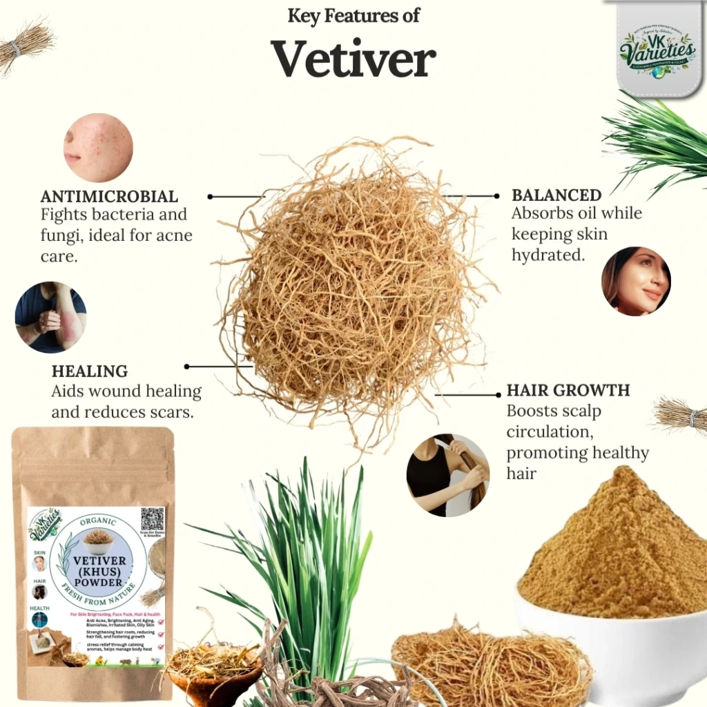 Organic Vetiver (Khus) Root Powder | Natural Skin Cooling, Tan Removal & Heat Relief | Skin Soothing, Hair Strengthening & Body Cooling (60g)
