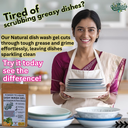 Natural Dish Wash – Eco-Friendly Premix Powder to Non toxic Cleaner