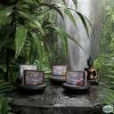 Radiant Glow Natural Soap Combo (Value Pack of 4 Soap)