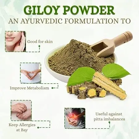 Organic Giloy Powder (Guduchi/Giloy Churna) | Natural Immunity Booster | Ayurvedic Detox Supplement | 100% Pure