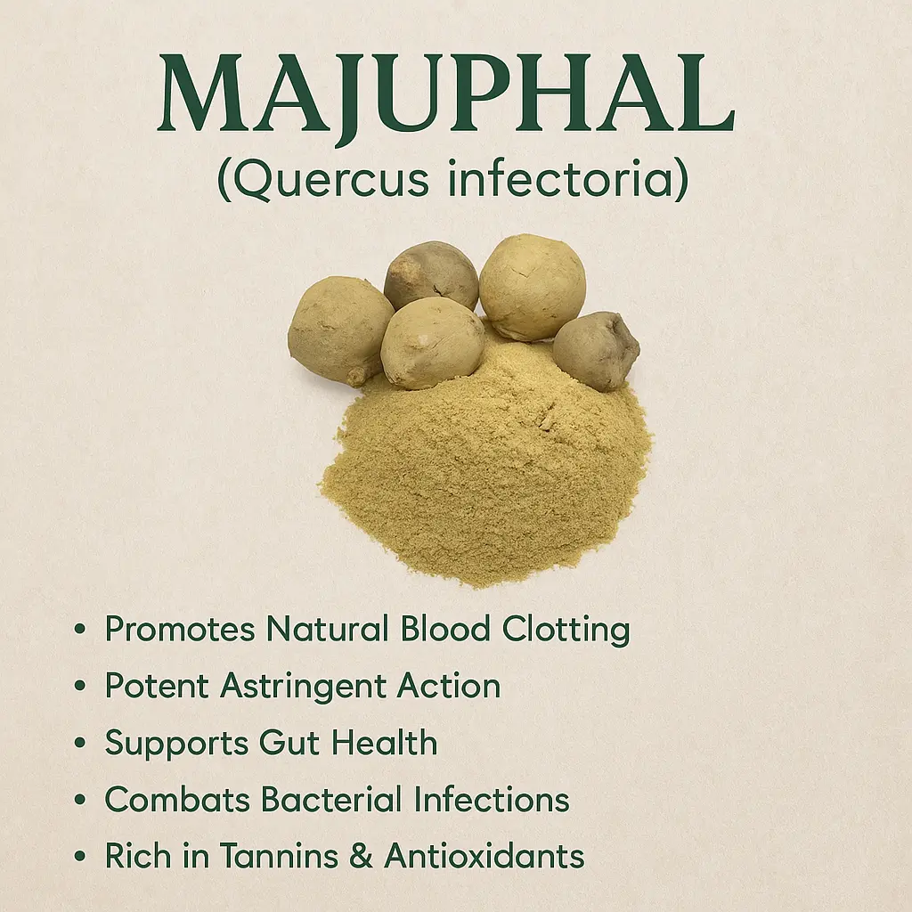Pure Majuphal- Mayphal Powder | 100% Natural Ayurvedic Astringent | Skin Tightening & Gum Care Herb